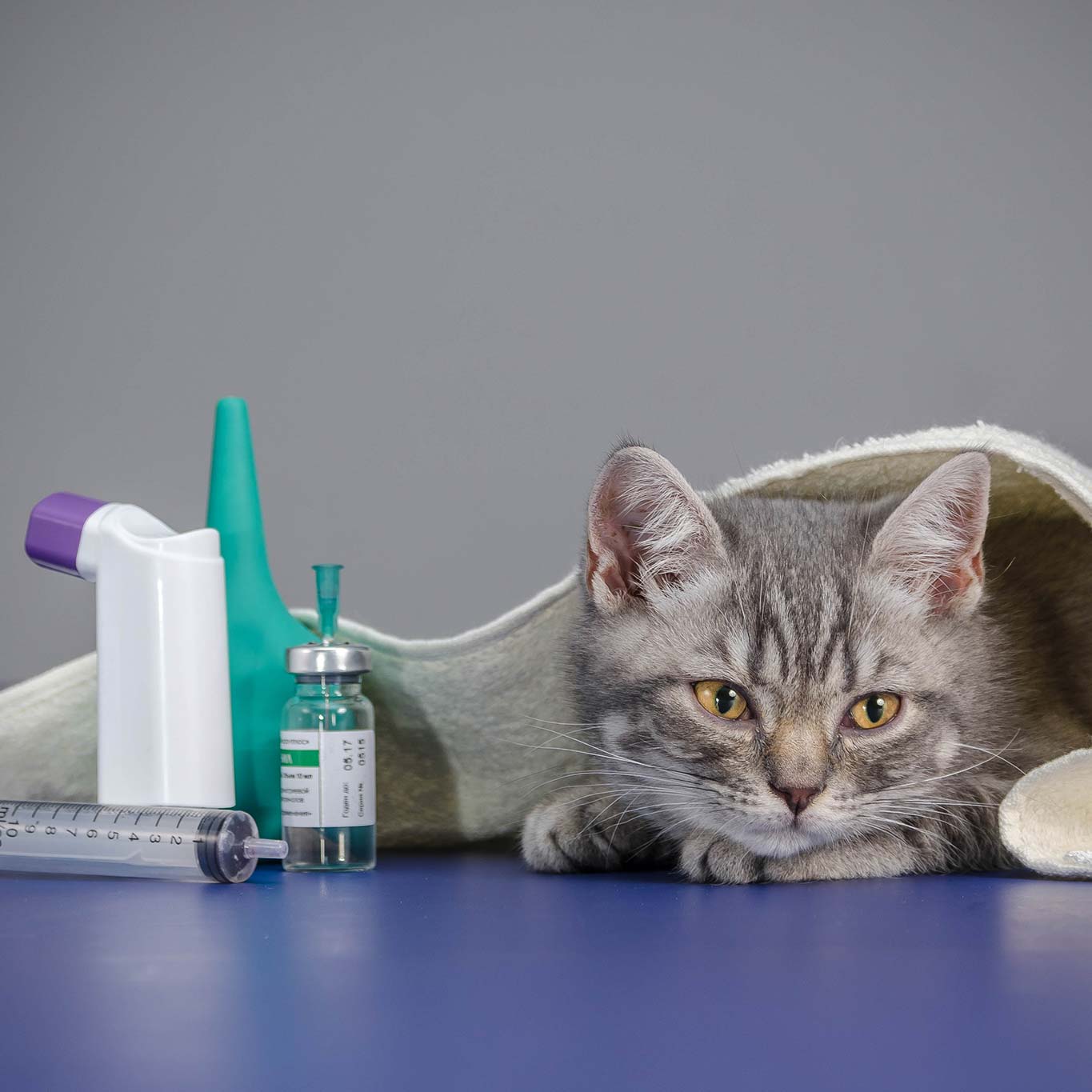 A cat laying with some medicines on a table